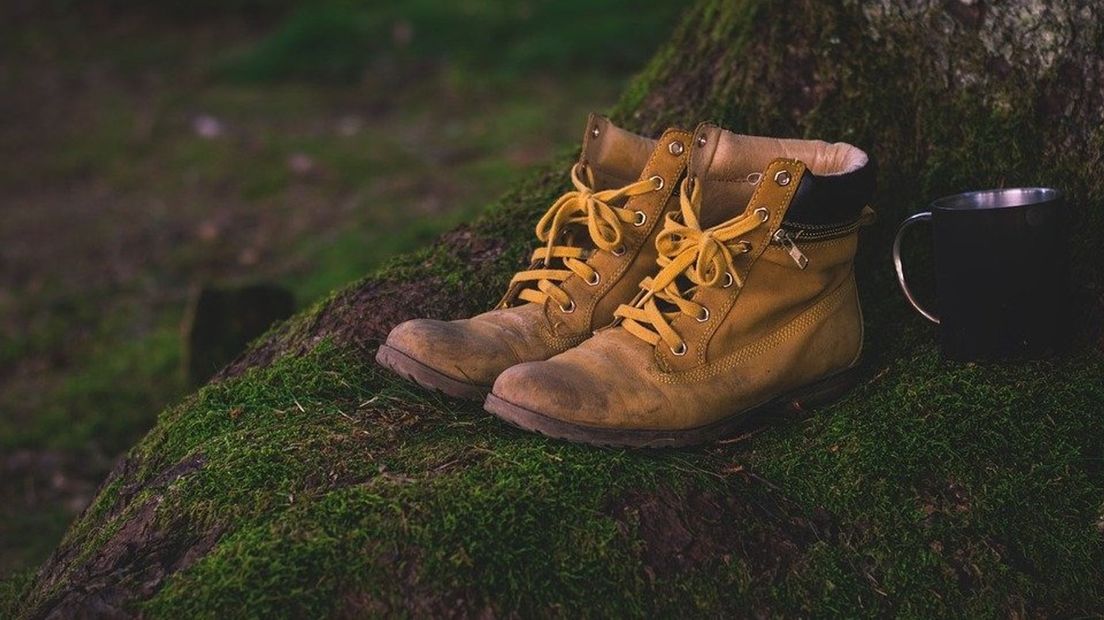 Je kunt dit weekend weer de wandelschoenen aantrekken (Rechten: Pixabay)