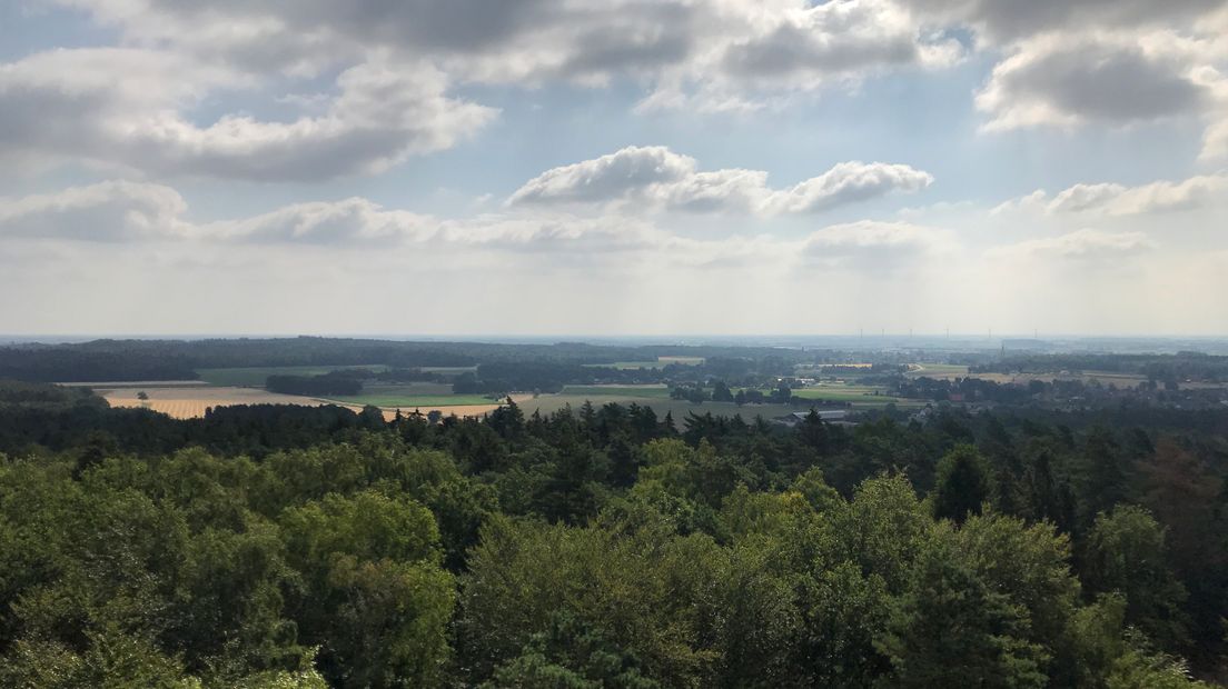 Biddende torenvalken, hazen, reeën en uitgestrekte goudgele graangewassen. In het Bergherbos in Montferland waan je je in het buitenland. Op de heuvels wuiven de granen in de wind. Voor Erwin Grob van Natuurmonumenten is het een drukke tijd. Deze week is de oogst begonnen.