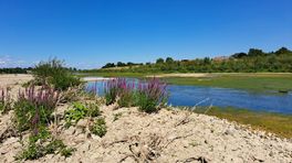 Waterstand Maas laag maar nog niet alarmerend