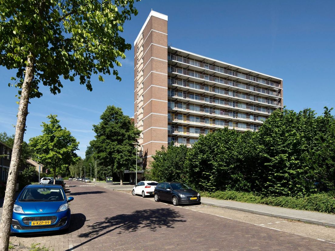 Een van de flats in de Aalscholverlaan