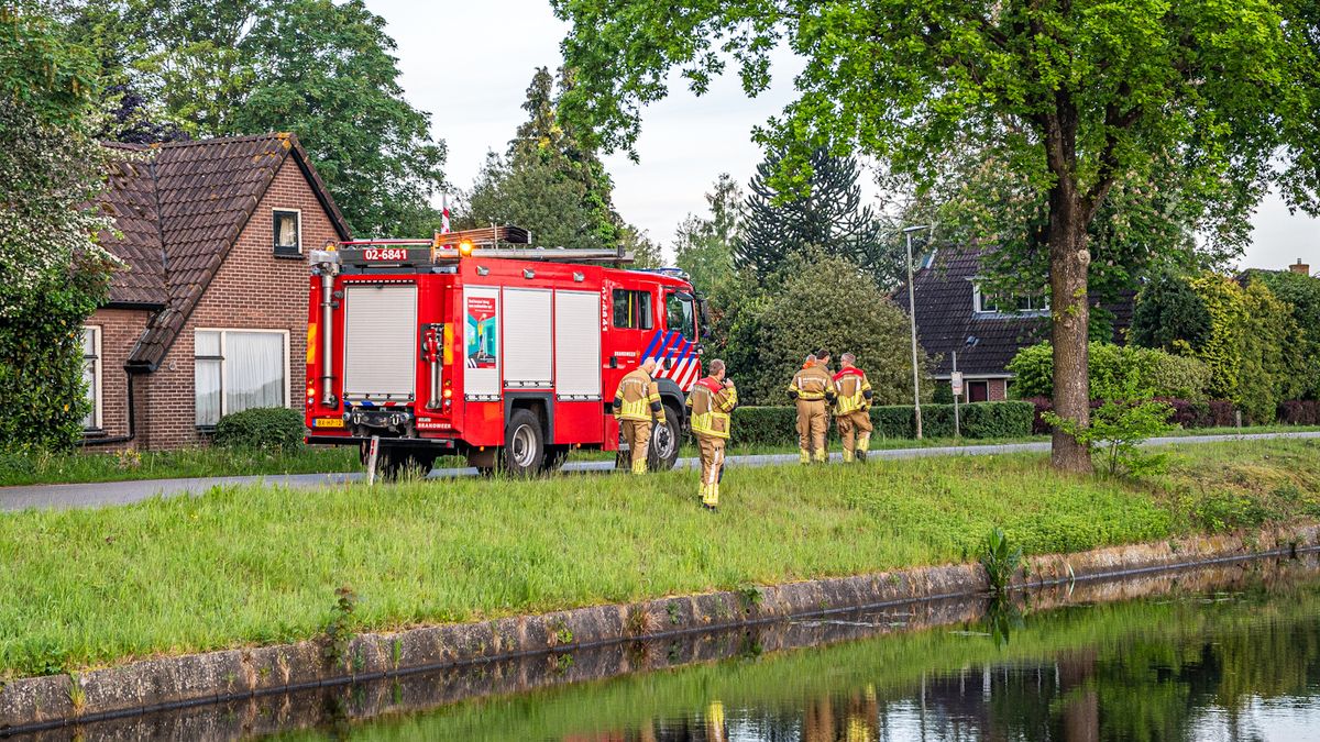 Brandweer Appelscha heeft het druk met reeën in het water