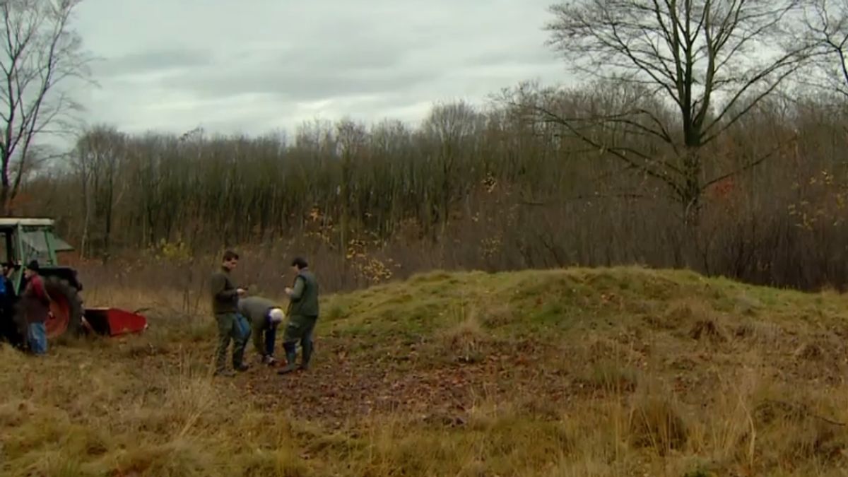 Historische Vereniging maakt grafheuvel Oude Willem weer toonbaar - RTV