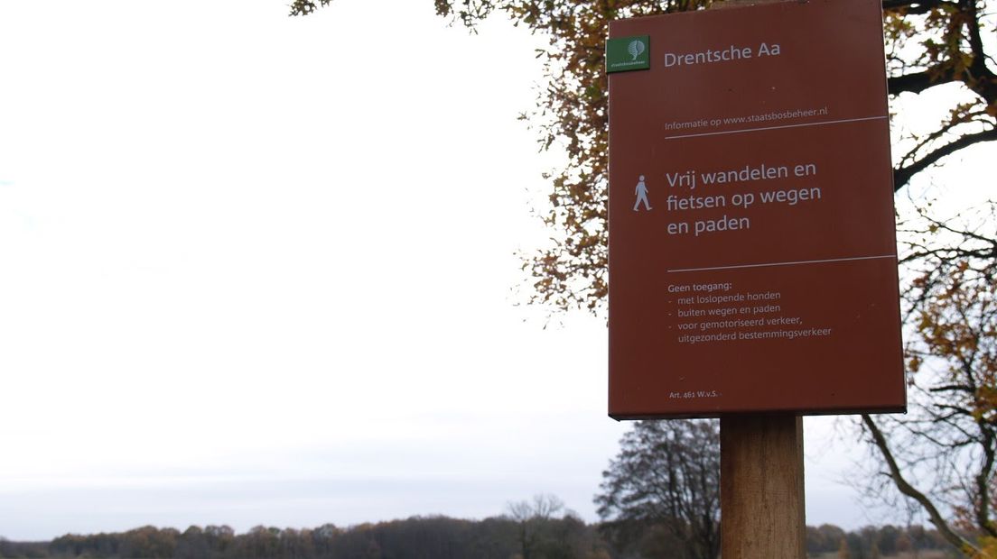 Zaterdag kun je alles leren over de begrazing bij de Drentsche Aa (Rechten: RTV Drenthe/Marike Goossens)