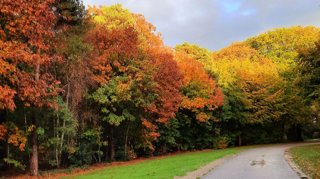 Zomer gaat over in herfst.