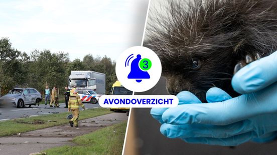 Bestuurder aangehouden na ernstig ongeluk, laatste dag voor krakers en babynieuws uit Burgers Zoo op donderdag 15 oktober