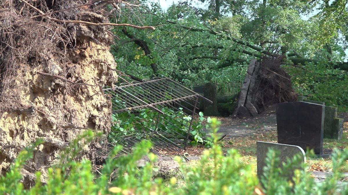 De schade na de storm op begraafplaats Den Ham: twaalf graven beschadigd, negen bomen gekapt