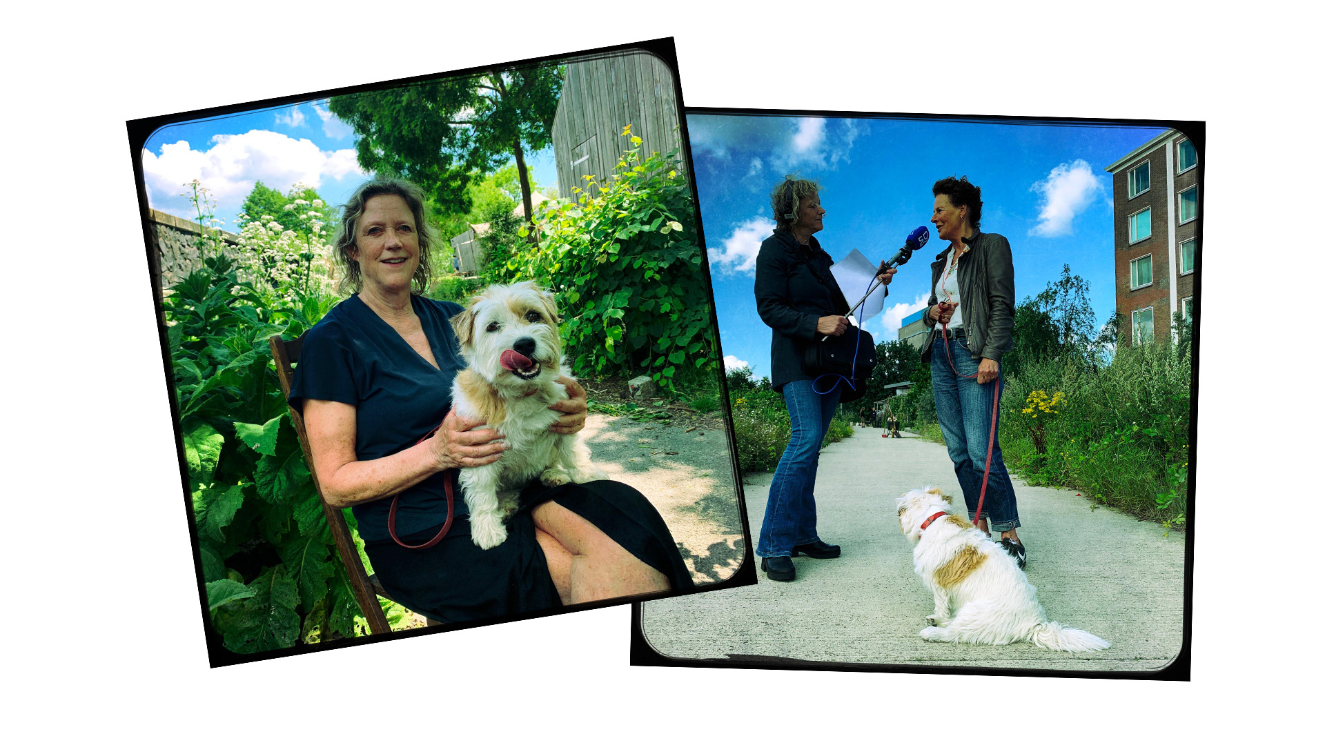 Chris met hond Bep op schoot en Chris interviewt Tien Kookt Vegetarisch