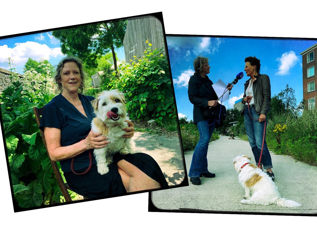 Chris met hond Bep op schoot en Chris interviewt Tien Kookt Vegetarisch