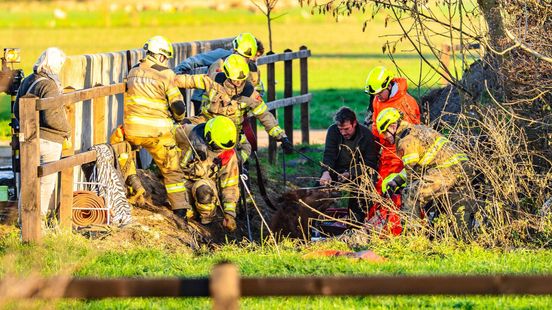 Paard urenlang vast in de modder