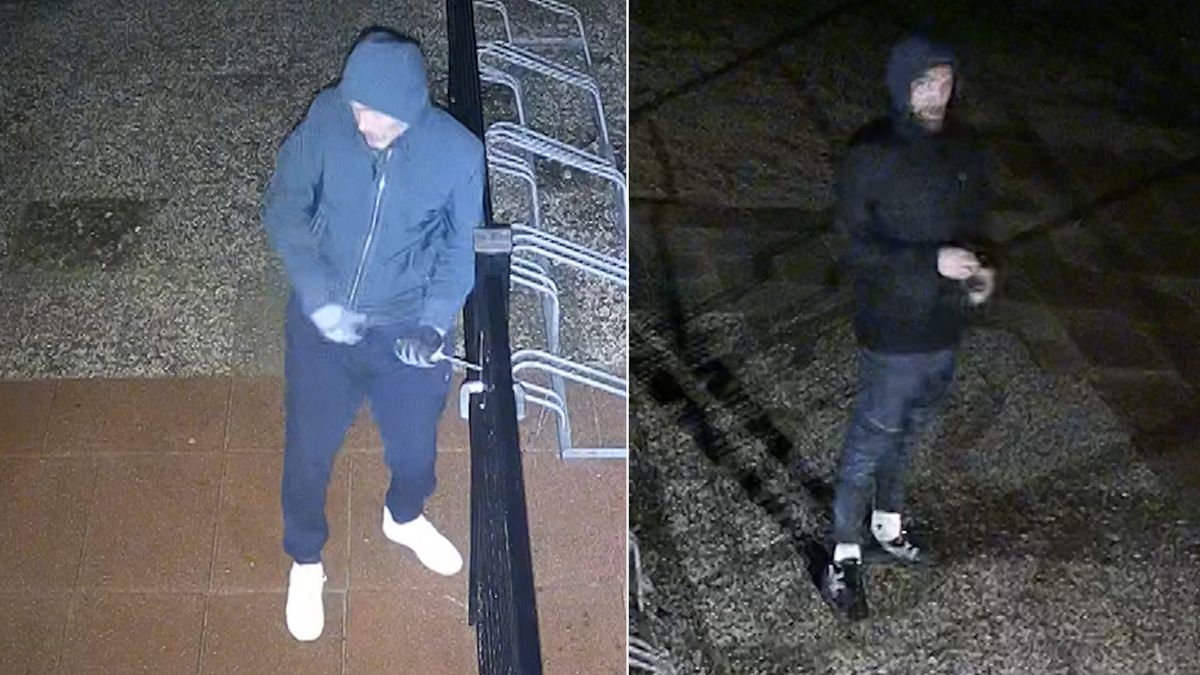 Inbrekers stuntelen met zware kluis bij bungalowpark in Giethmen