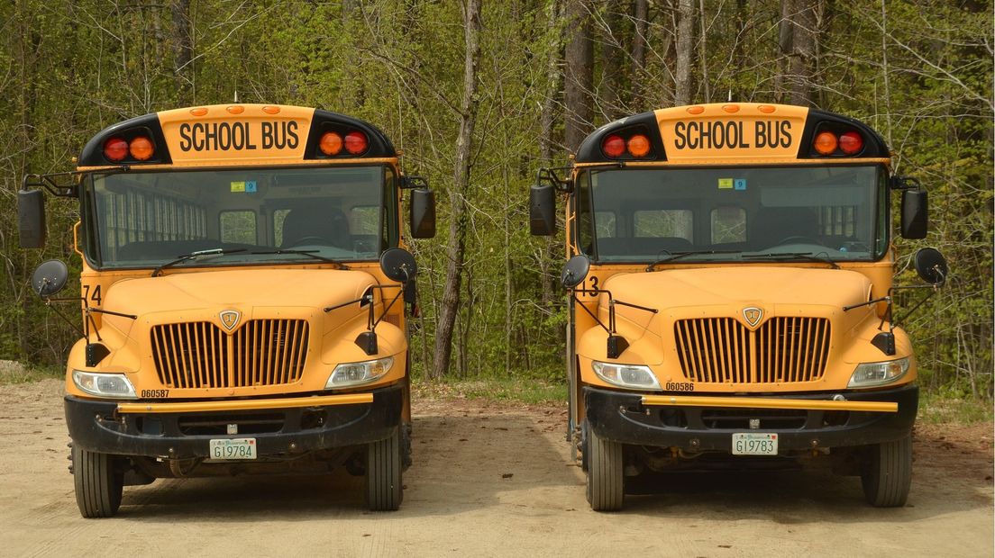 De bezoekers worden in een Amerikaanse schoolbus naar optredens gebracht (Rechten: Pixabay)