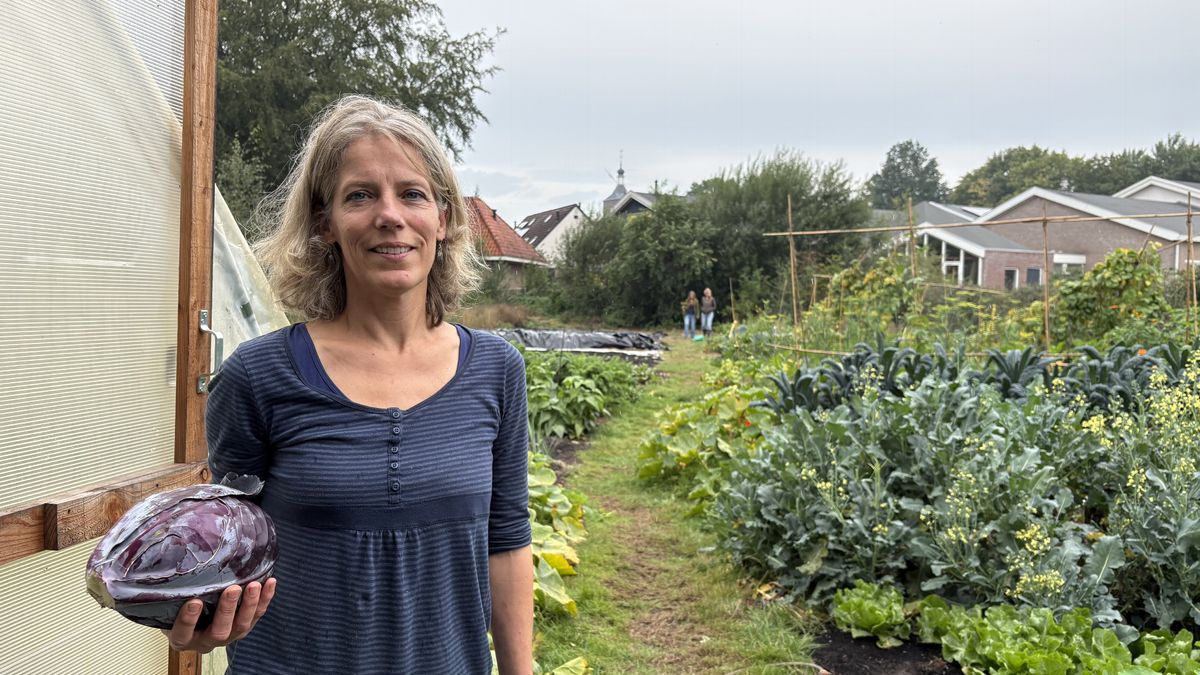 Cathalijne Moritz uit Ruinen had nog wat tuin over, en die dient nu als sociale moestuin
