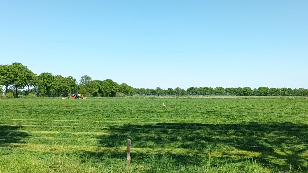 Limburg Kiekt in onder andere Kronenberg, Oirlo en Ubachsberg