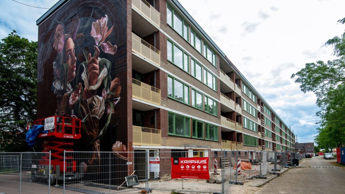 Internationaal streetart-duo tovert flat om tot mega kunstwerk in Almelo