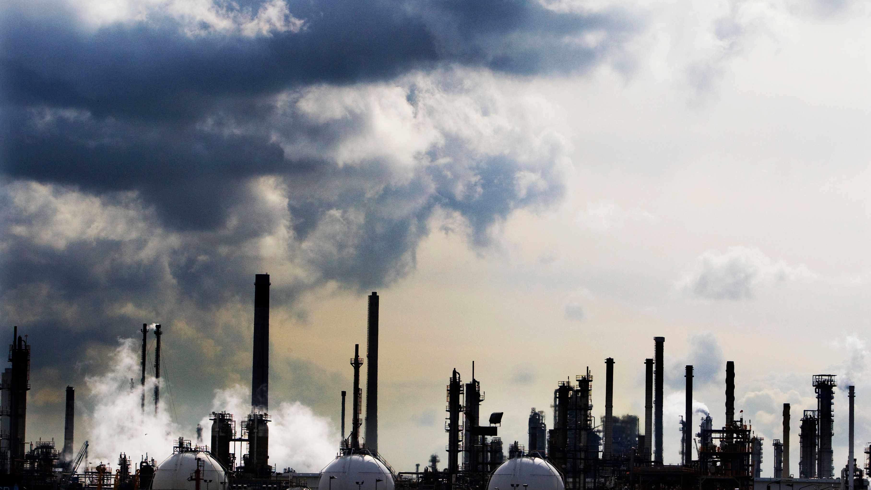 Foto ter illustratie