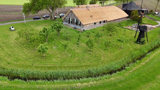Nederland zit vol terpen: vooral rond Kampen nieuwe woonheuvels ontdekt Home