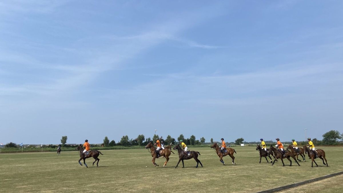 Start Zeeuws poloseizoen trekt honderden toeschouwers: 'Hockey te paard, met een vleugje rugby'