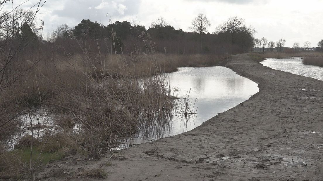 Een dammetje zorgt ervoor dat het hoogveen (links) het regenwater kan vasthouden