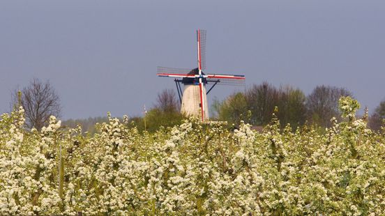 Welke geuren horen bij Gelderland? Dit zeggen de inwoners