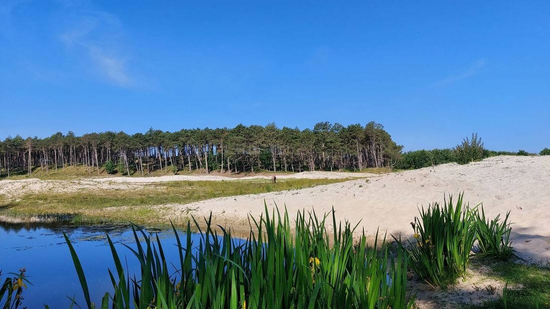 Oranjezon in juni van dit jaar