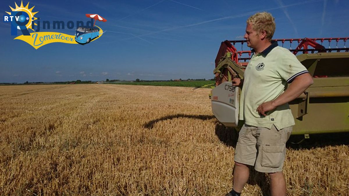 Droogte: zo vroeg was de tarweoogst nog nooit
