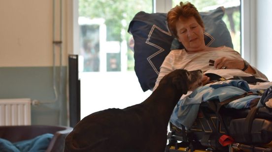 Laatste wens vrijwilligster dierenopvang: nog één keer blinde hond Sua knuffelen Home
