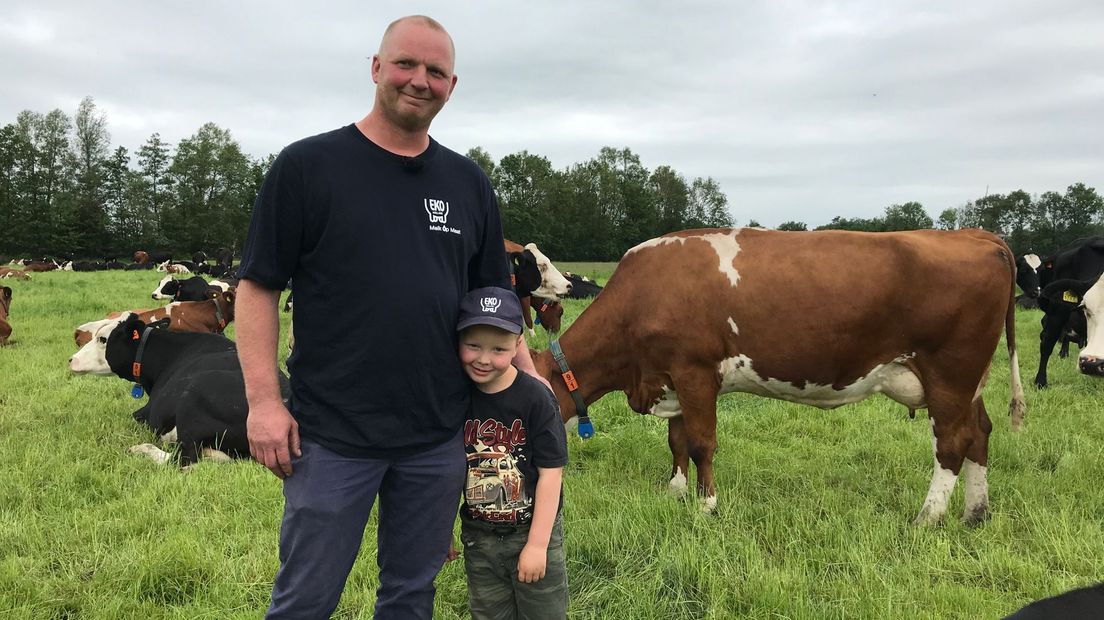 Bio-boer Peter Oosterhof en zoon tussen hun koeien