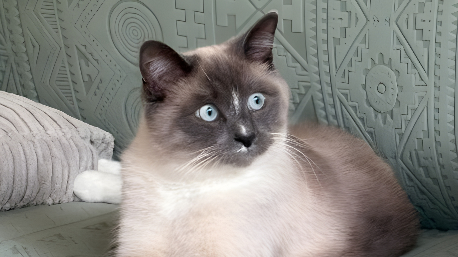 Bobby is nu anderhalf jaar oud