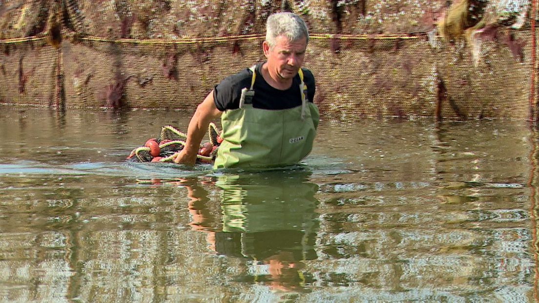 Weervisser Henk is de laatste der Mohikanen - Omroep Zeeland