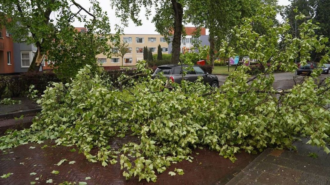 In Dieren vielen takken van de bomen op de weg, de brandweer haalde ze weg.