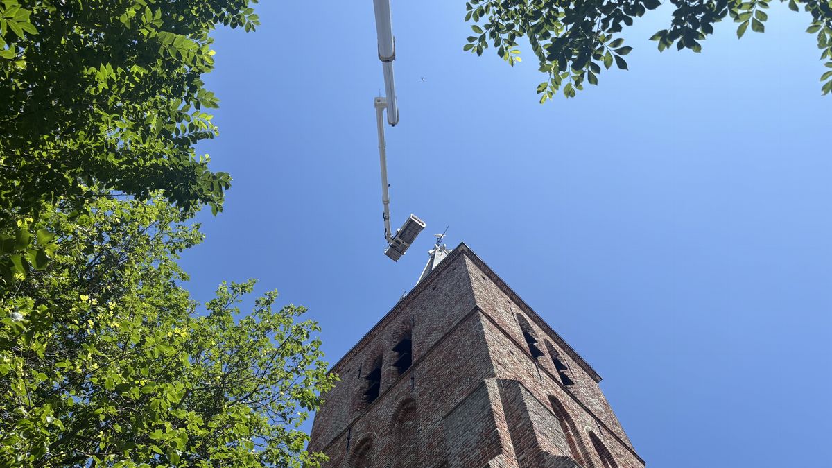 De haan van Domburg staat weer op de kerktoren; 'De mensen hebben hem gemist'