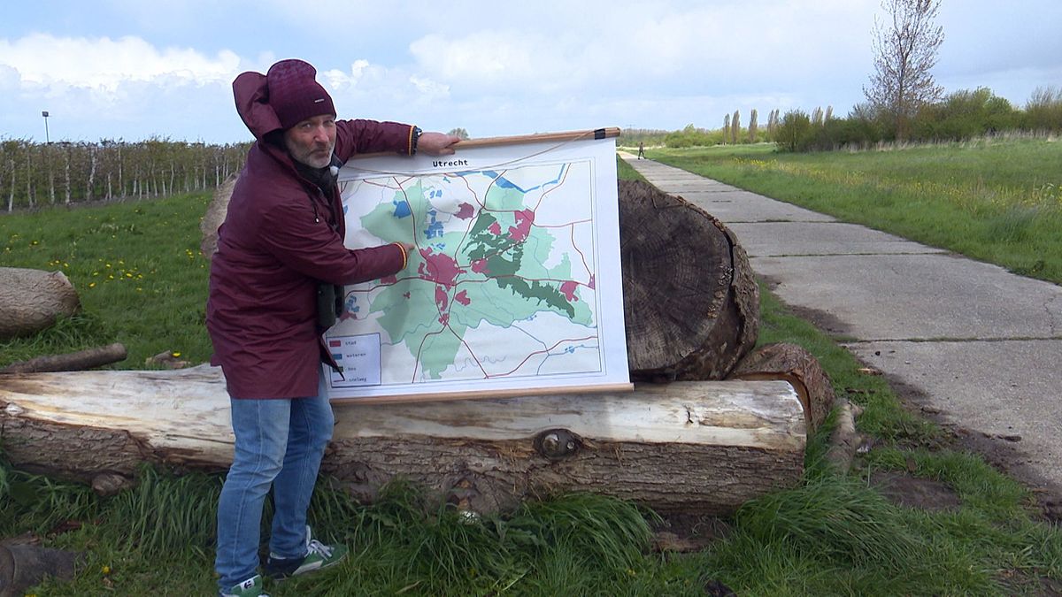 Groene woestijn wordt voedselbos in Haarzuilens