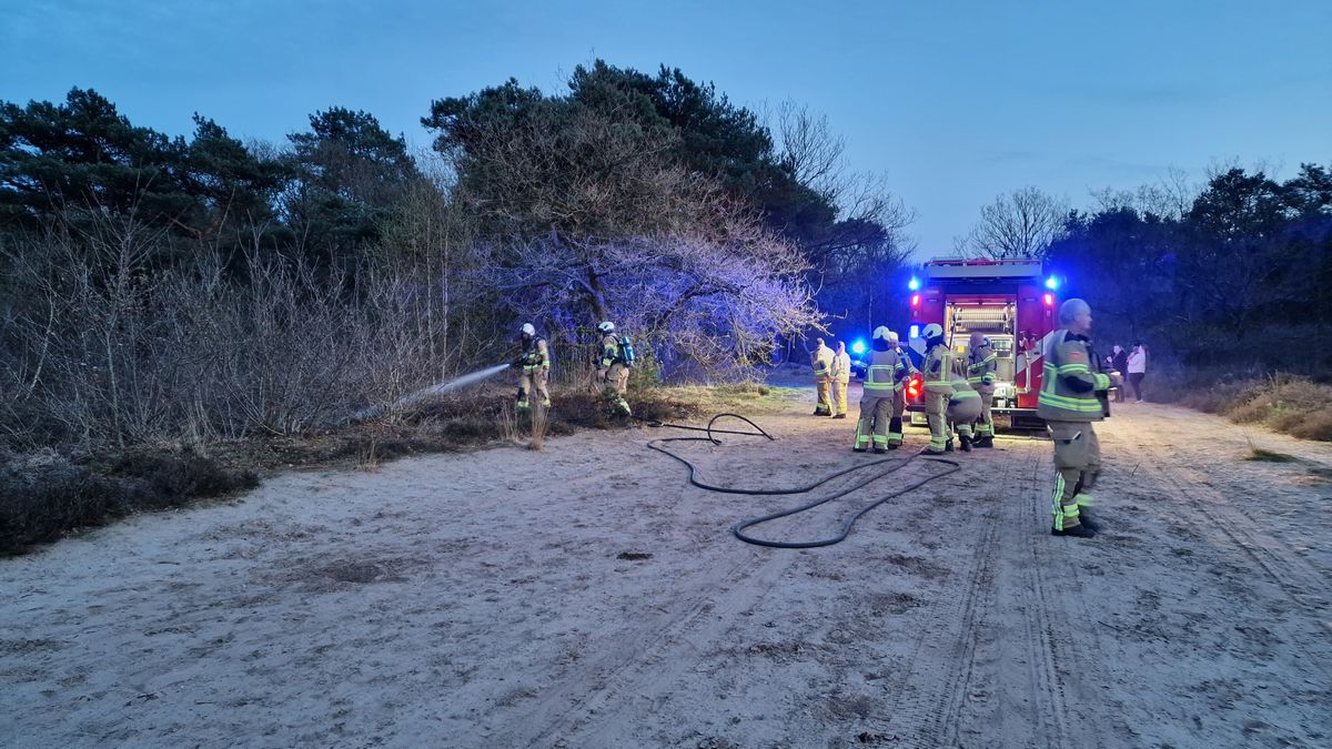 Brandweer weet natuurbrand bij Baggelhuizerplas in Assen snel te blussen