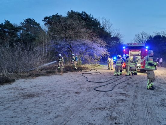 Brandweer weet natuurbrand bij Baggelhuizerplas in Assen snel te blussen