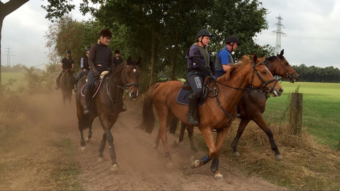 Crosstraining bij manege De Snorrewind in Markelo