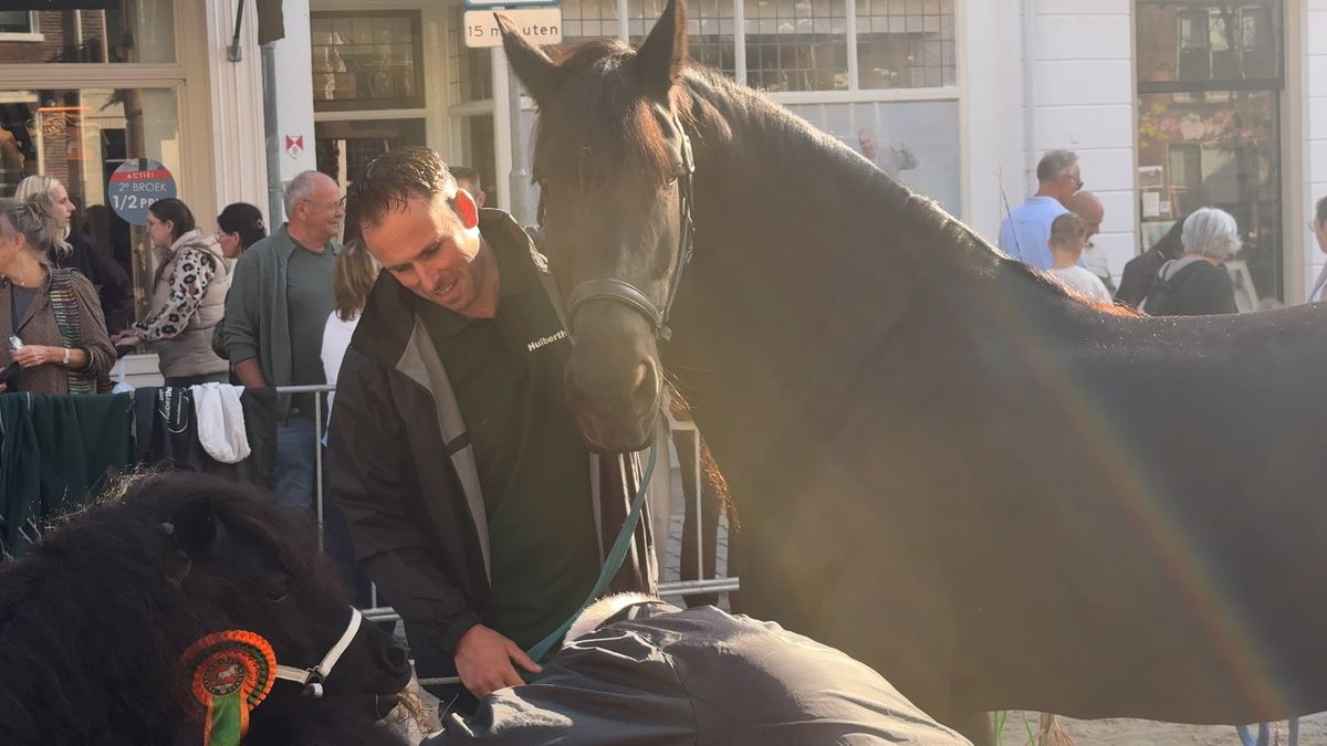 Paarden worden er niet meer verkocht, toch veranderde de Paardenmarkt in 755 jaar nauwelijks