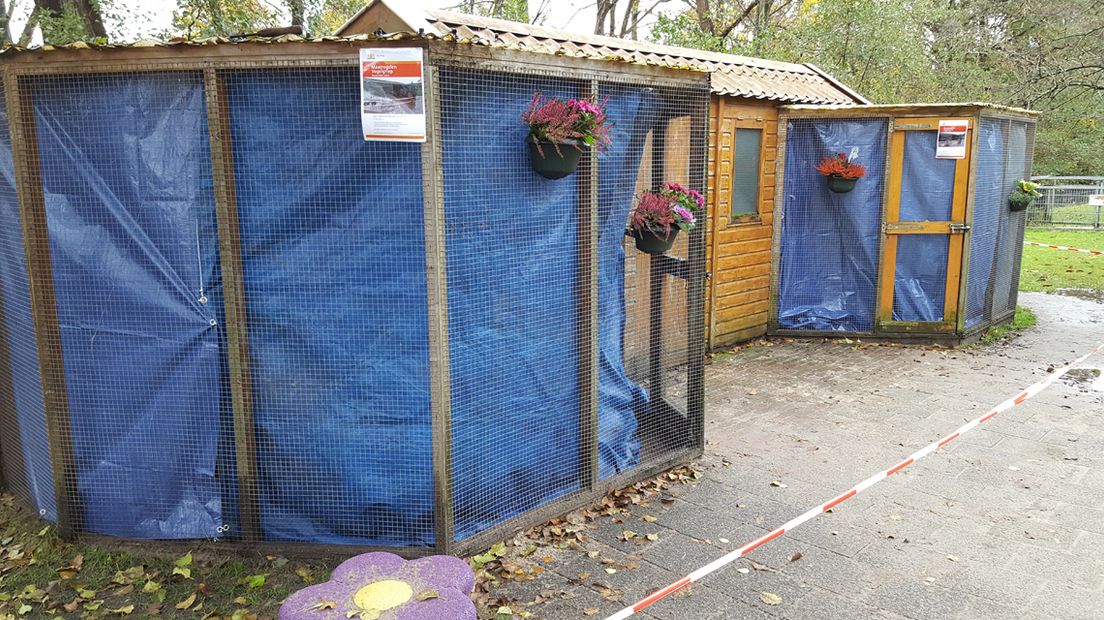 Ook de kippenhokken van kinderboerderij Mient in Den Haag zijn afgeschermd. 