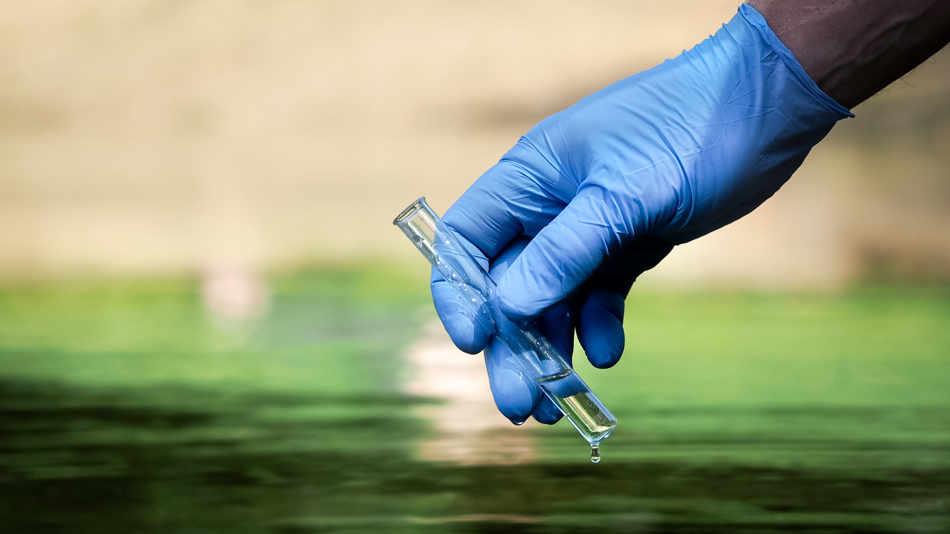 Watervervuiling rondom Leeuwarden ernstiger dan gedacht: meer giftige stoffen en groter gebied