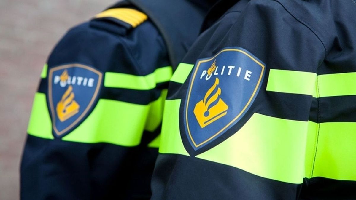 Deventenaar (31) aangehouden voor zedendelict in Colmschate