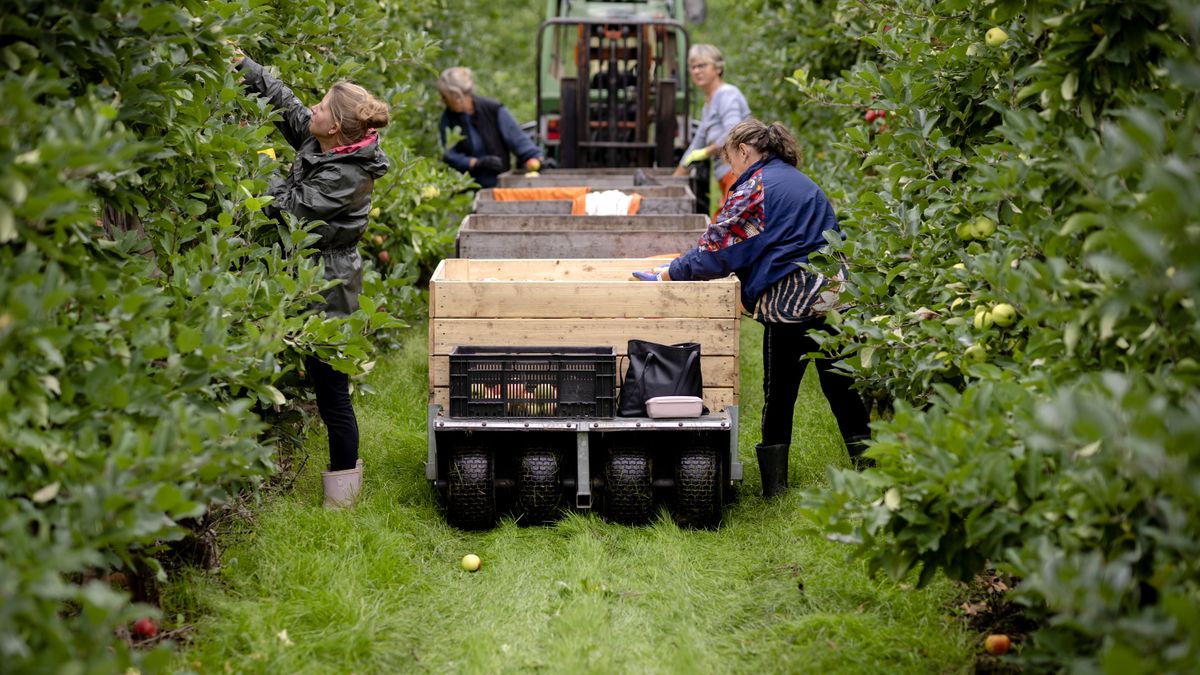 Meer duidelijkheid huisvesting arbeidsmigranten Tienray
