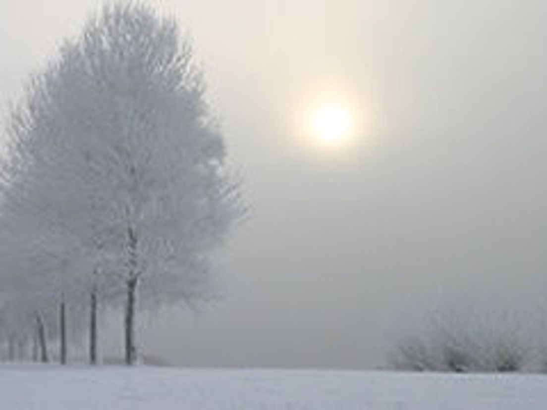 03-03-sneeuw.cropresize.tmp.jpg