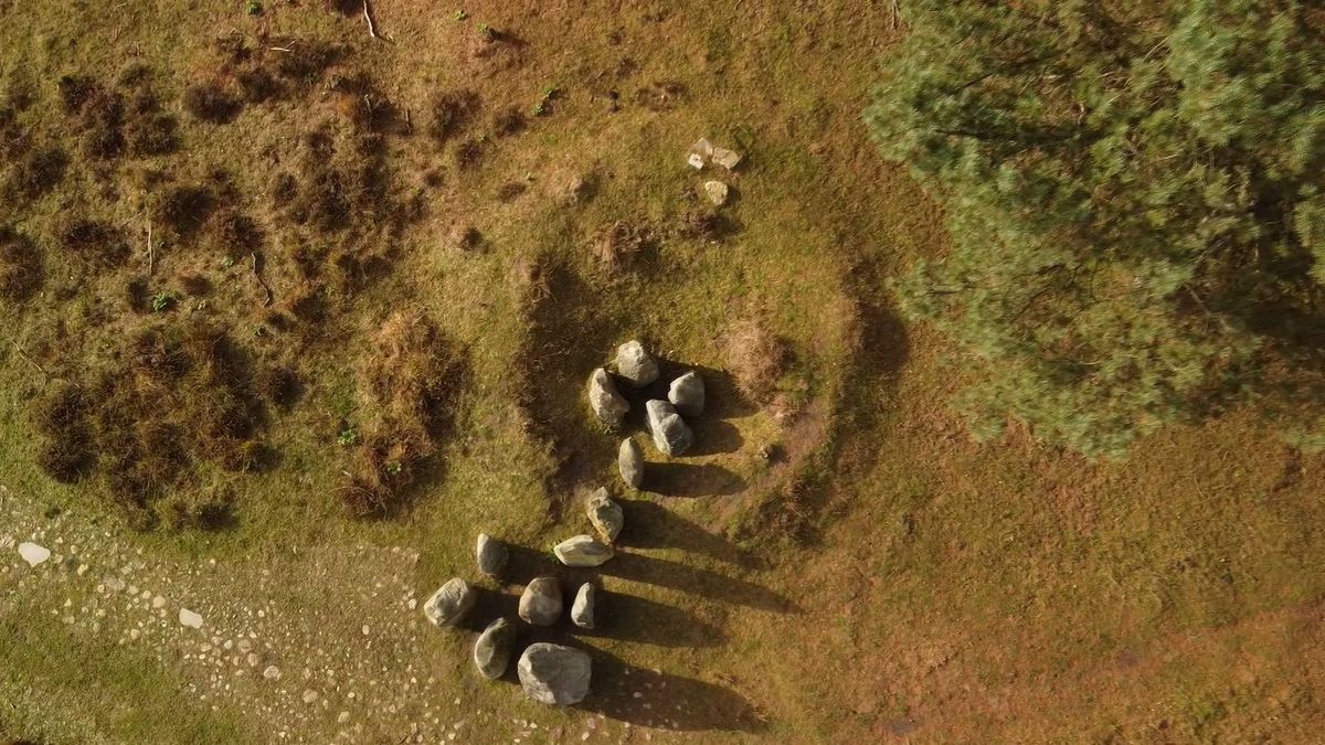 Bomen Evertsbos boden camouflage voor verzetsmensen