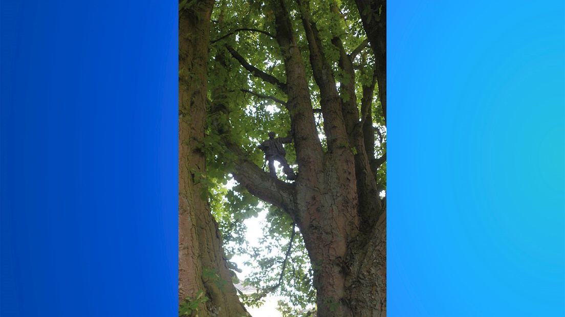 Een foto van het bronzen beeld van Belcampo in de intussen gekapte paardenkastanje