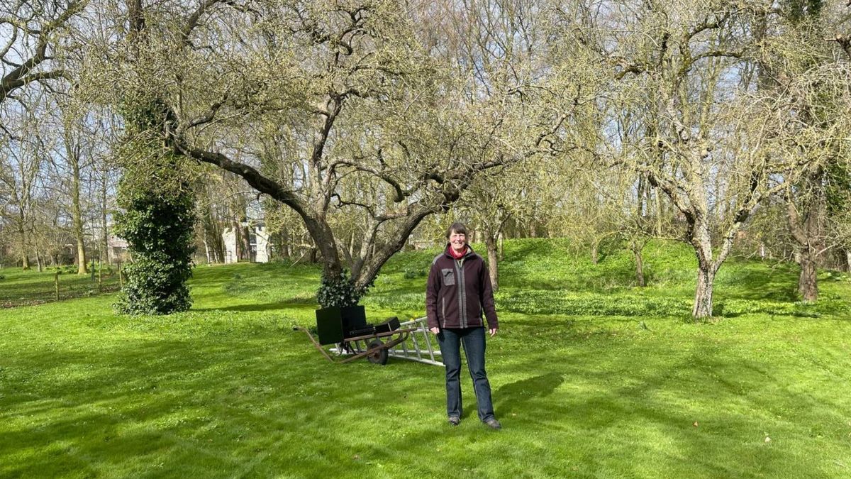 Van kale erven naar broedplekken: natuur krijgt ruimte in Noord-Groningen