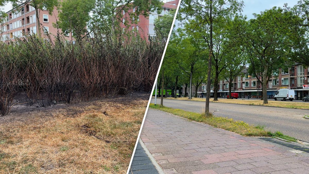 Opnieuw brand aan de Meridiaan, ondanks camera's en samenscholingsverbod
