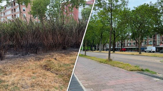 2 avonden brand aan de Meridiaan: 'Dan heb je wel lef' Home
