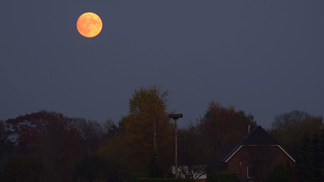 Boven Veenoord (Rechten: Laura Evers)