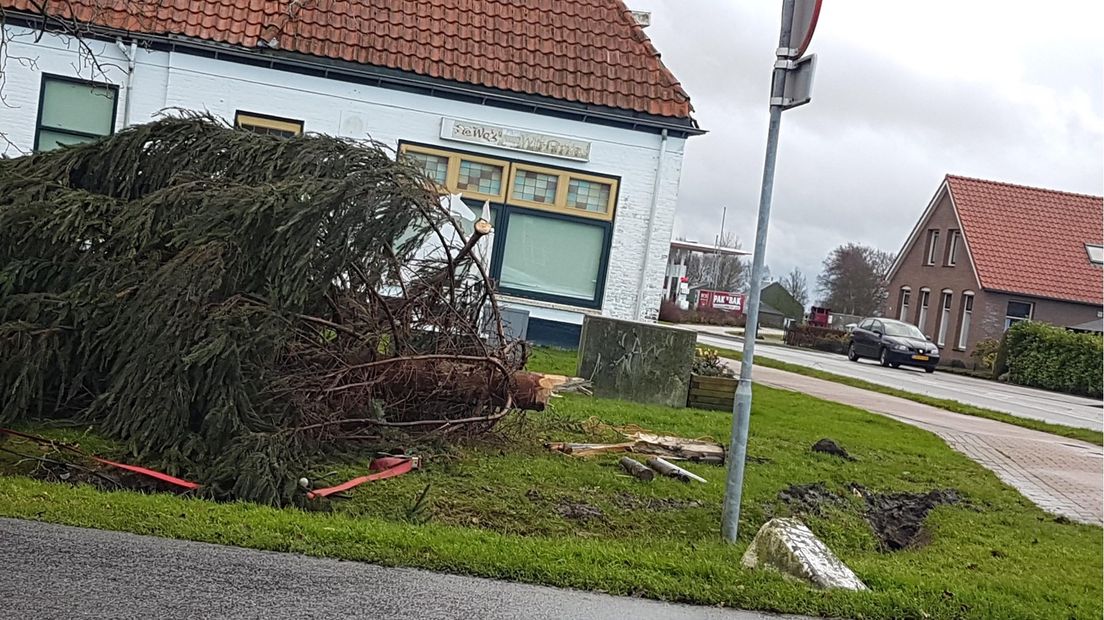 Kerstboom gesneuveld in De Meenthe
