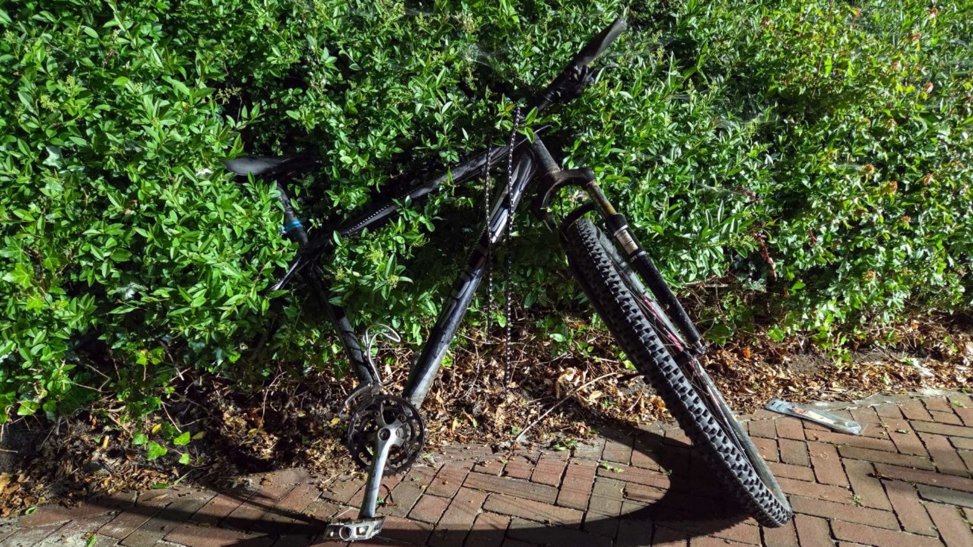 112-nieuws maandag 25 mei: Fietser gespietst door eigen fiets • Ravage op Eikenlaan in Stad