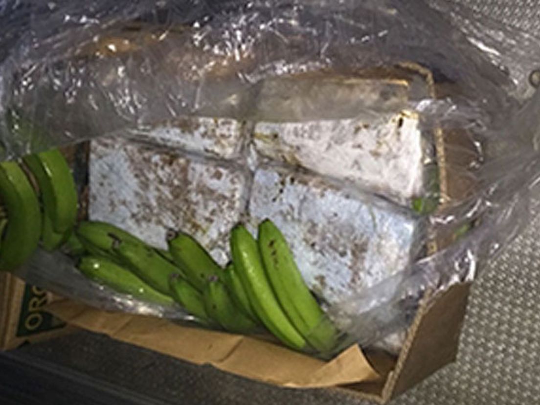 De laatste vangst van 2016: 250 kilo coke tussen de bananen